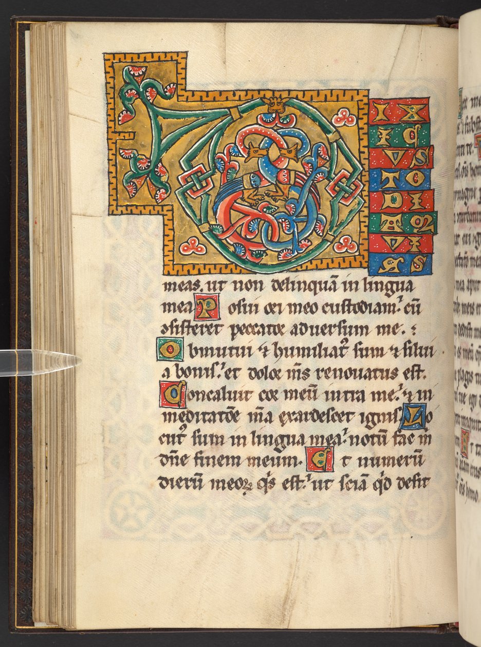 Add.60629，f.43v 金色和彩色大框首字母缩写，带有叶状装饰，有时还有变形和拟人装饰（牛皮纸） 作者 德国学校
