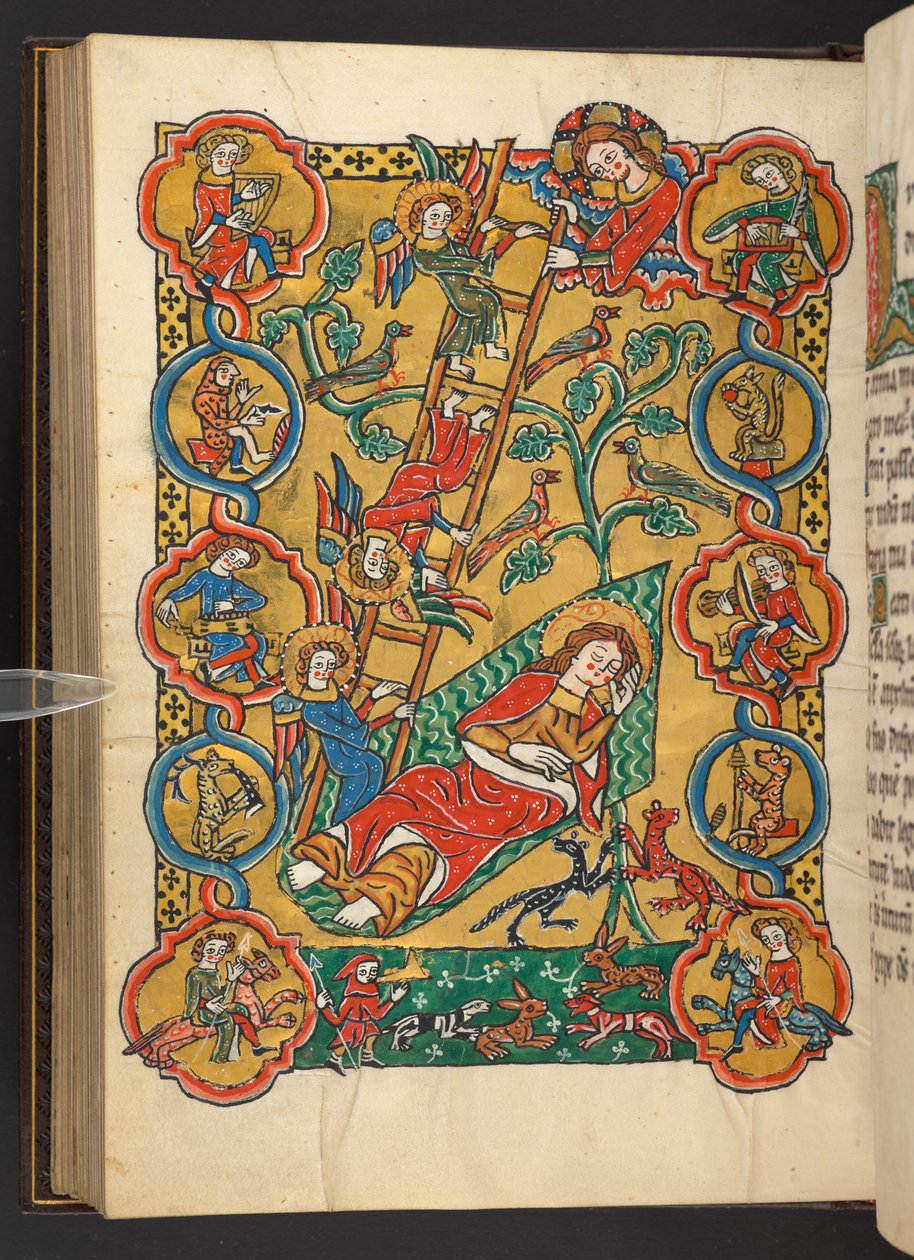 Add.60629，f.87v 雅各布的天梯，有生命树和音乐家、动物、暖脚的人以及狩猎场景（牛皮纸） 作者 德国学校