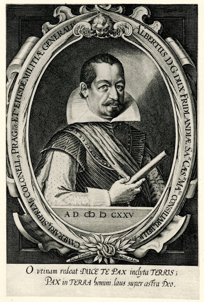 Albrecht von Wallenstein 作者 德国学校