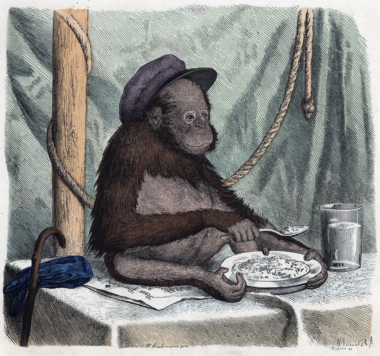 一个受过教育的猩猩（orang-utan，orang outang，orang-utang）用勺子吃米。在 "Wenn Jemand eine Reise thut, so kann er was erzahlen"（当有人旅行时，这是他能说出的），德国故事，作者Franz Wiedemann 作者 德国学校
