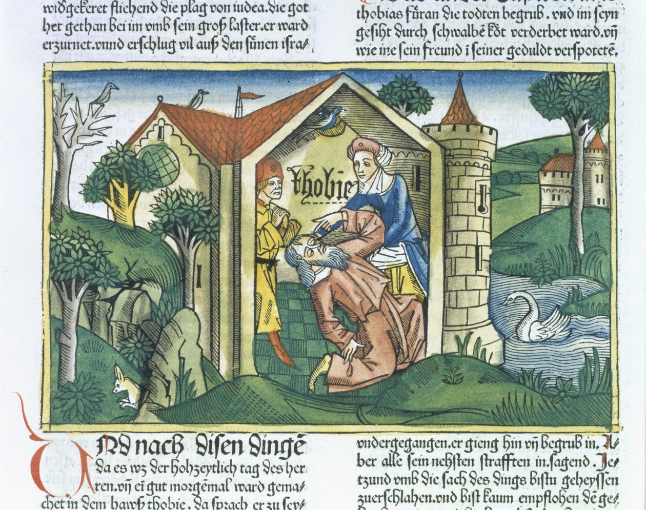 Apocrypha：Tobit被纽伦堡圣经（Biblia Sacra Germanaica）（彩色木刻）中的麻雀粪便所蒙蔽 作者 德国学校