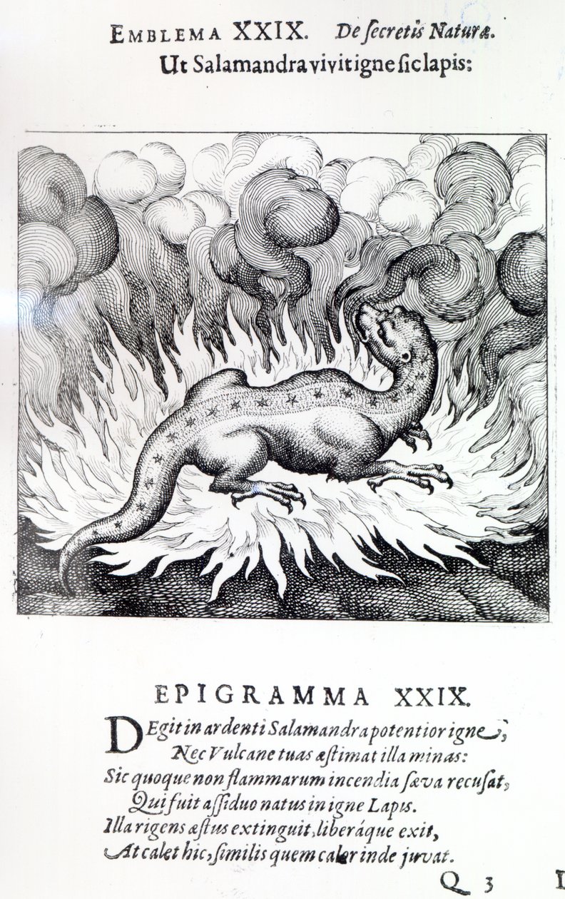 当蝾螈生活在火中时，1617年迈克尔·迈尔的石头，亚特兰大侏儒的象征XXIX 作者 德国学校