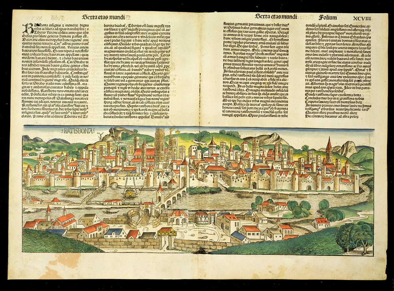 Ratisbon的鸟瞰图，来自纽伦堡纪事报（Hartmann Schedel）（1440-1514）1493 作者 德国学校