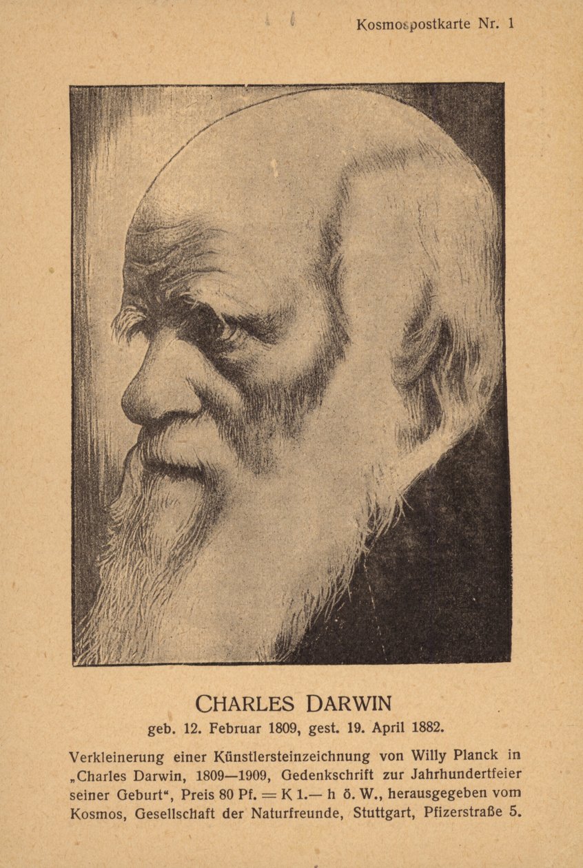 查尔斯・达尔文（1809-1882），英国博物学家（平版） 作者 德国学校