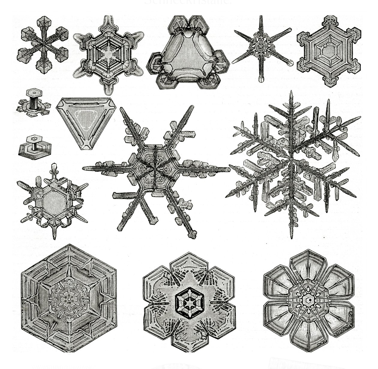 不同形式的雪花 作者 德国学校