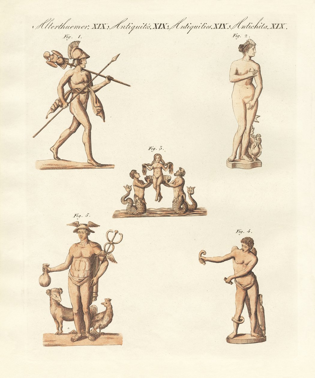 希腊人和罗马人的神明（彩色雕刻） 作者 德国学校