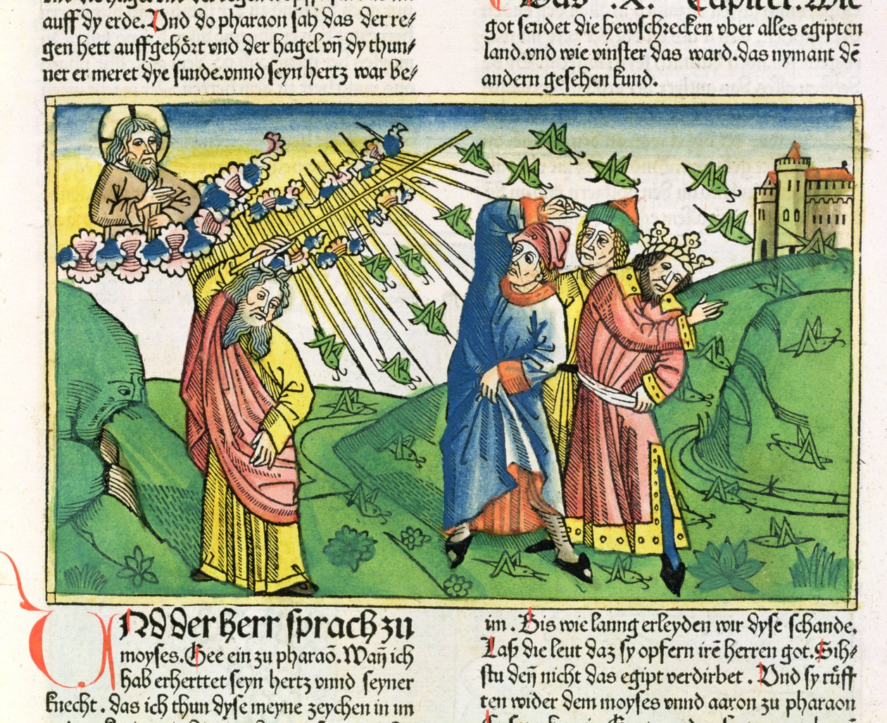 出埃及记10：1-20埃及七灾：蝗虫的瘟疫，来自纽伦堡圣经（Biblia Sacra Germanaica）（彩色木刻） 作者 德国学校