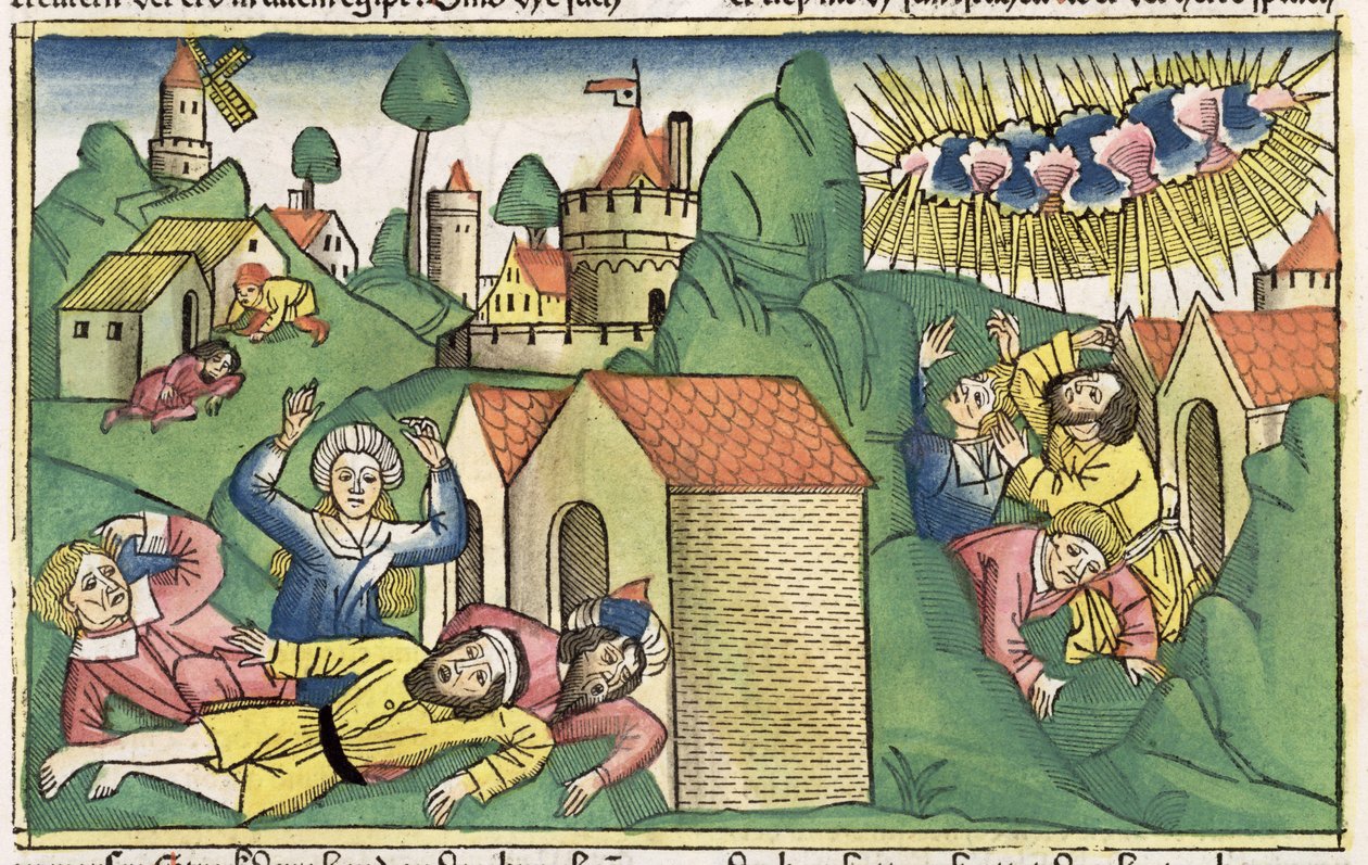 出埃及记11 1-10埃及的七大灾难：长老的死亡，来自纽伦堡圣经（Biblia Sacra Germanaica）（彩色木刻） 作者 德国学校