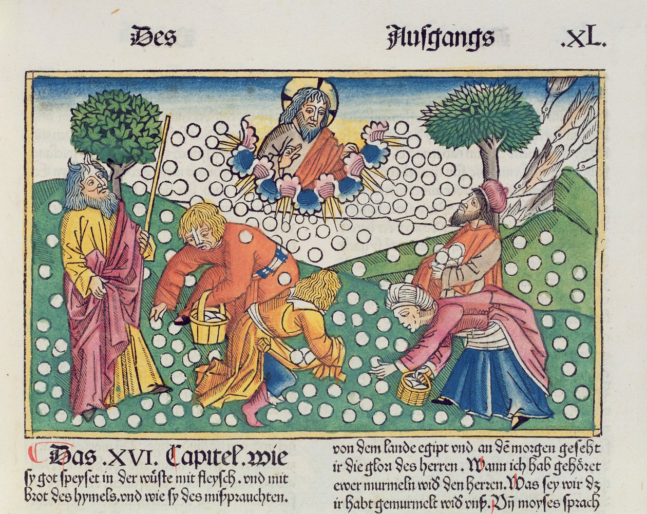 出埃及记16章13-22上帝从纽伦堡圣经（Biblia Sacra Germanaica）（彩色木刻）向以色列人提供鹌鹑和吗哪 作者 德国学校