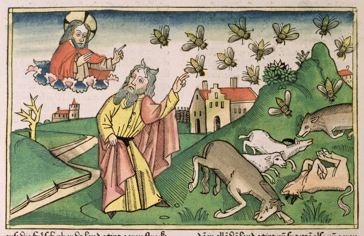 出埃及记 8 20-32 埃及七灾：摩西和苍蝇群，摘自《纽伦堡圣经（Biblia Sacra Germanaica）》（彩色木刻） 作者 德国学校