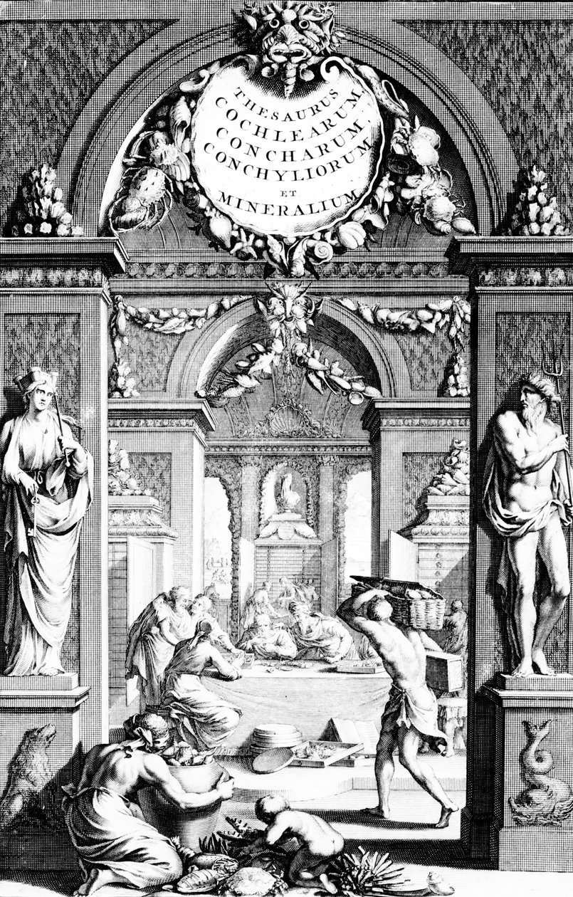 卷首由埃伯哈德Bumphius版鱼盆的宝藏图片刊登在1739 作者 德国学校