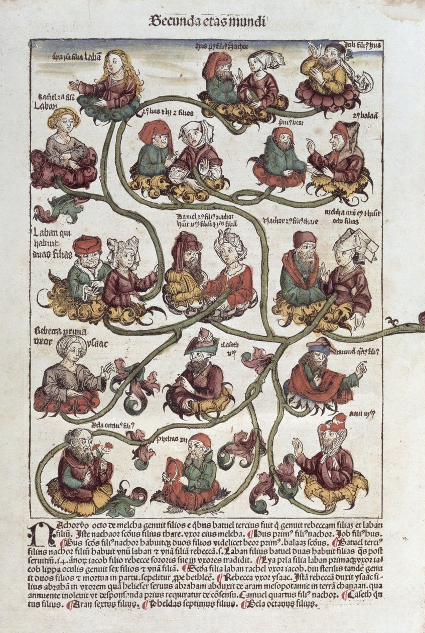 拉班的谱系树，来自Hartmann Schedel的“Liber Chronicarum”（1440-1514）1493（彩色木刻） 作者 德国学校
