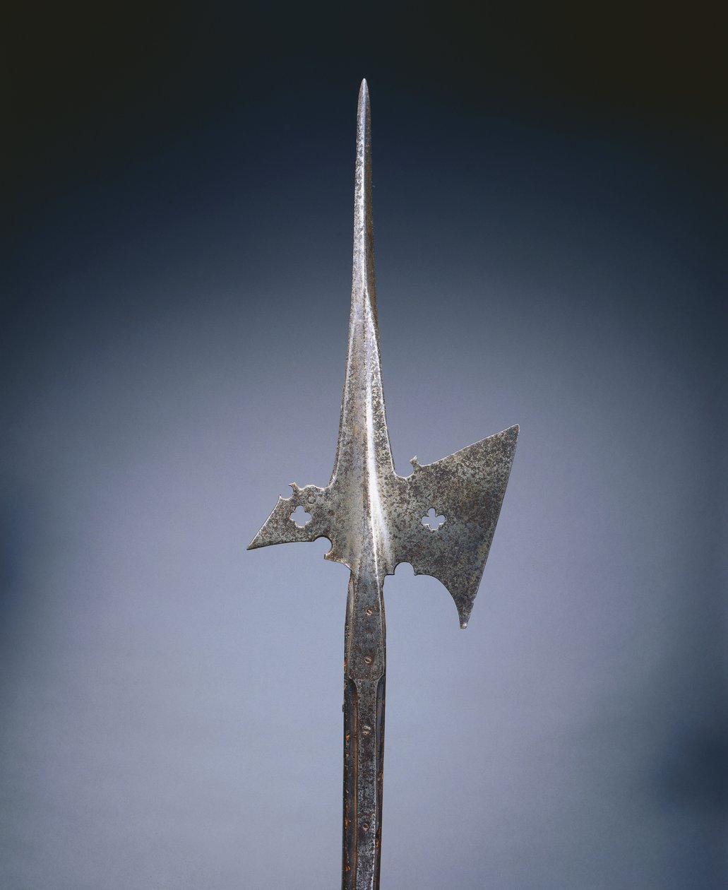 哈伯德（c.1500-25） 作者 德国学校