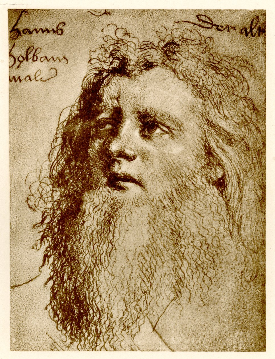 Hans Holbein the Elder，1884-90（照片型） 作者 德国学校
