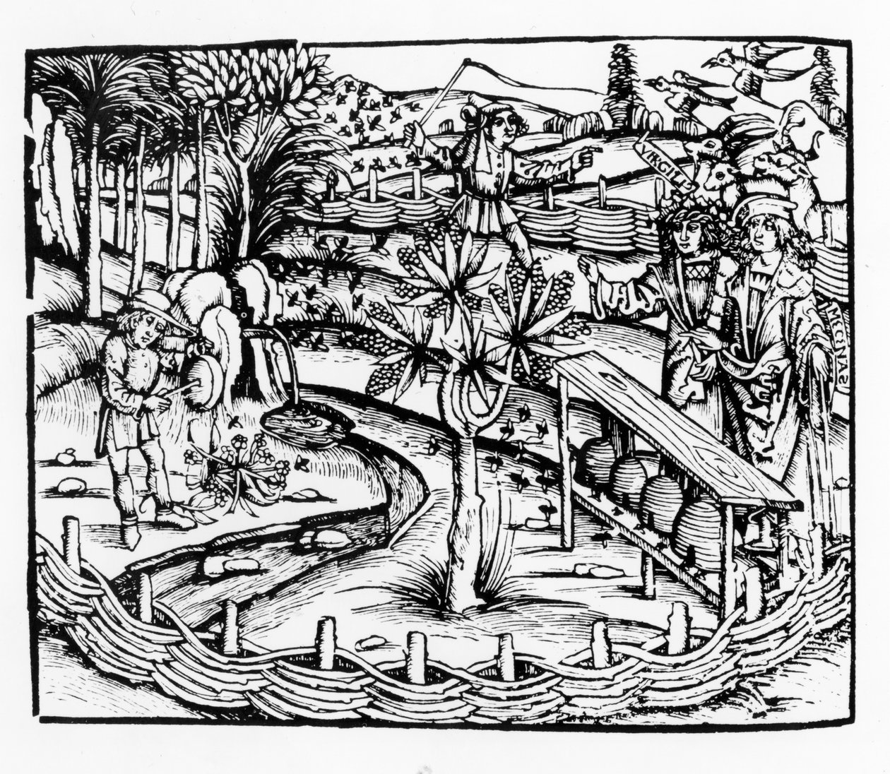 快乐的丈夫照顾蜜蜂，来自维吉尔的Georgics的插图，第四册，来自Sebastian Brants（1457-1521）版，1502年出版 作者 德国学校