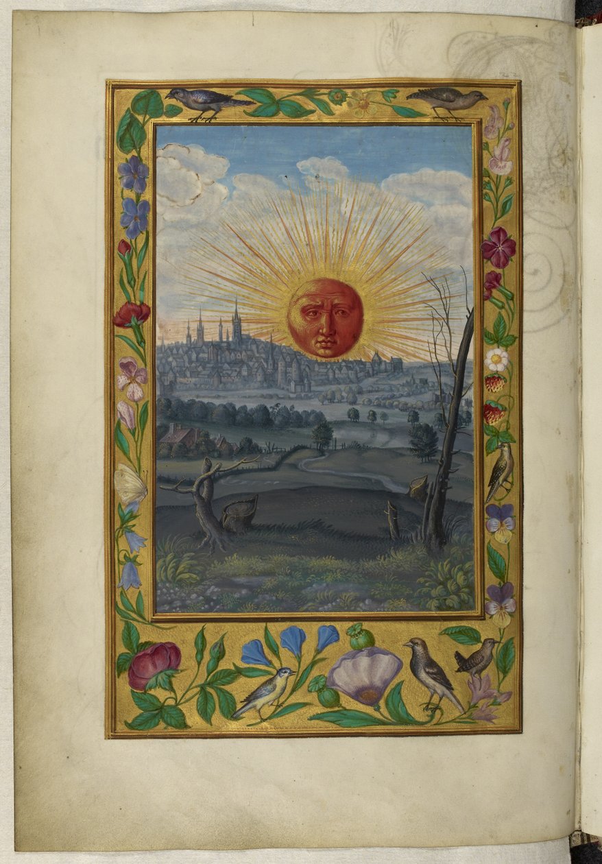 哈雷 3469 f.33v 太阳，选自 "Splendor Solis "的插图 作者 德国学校