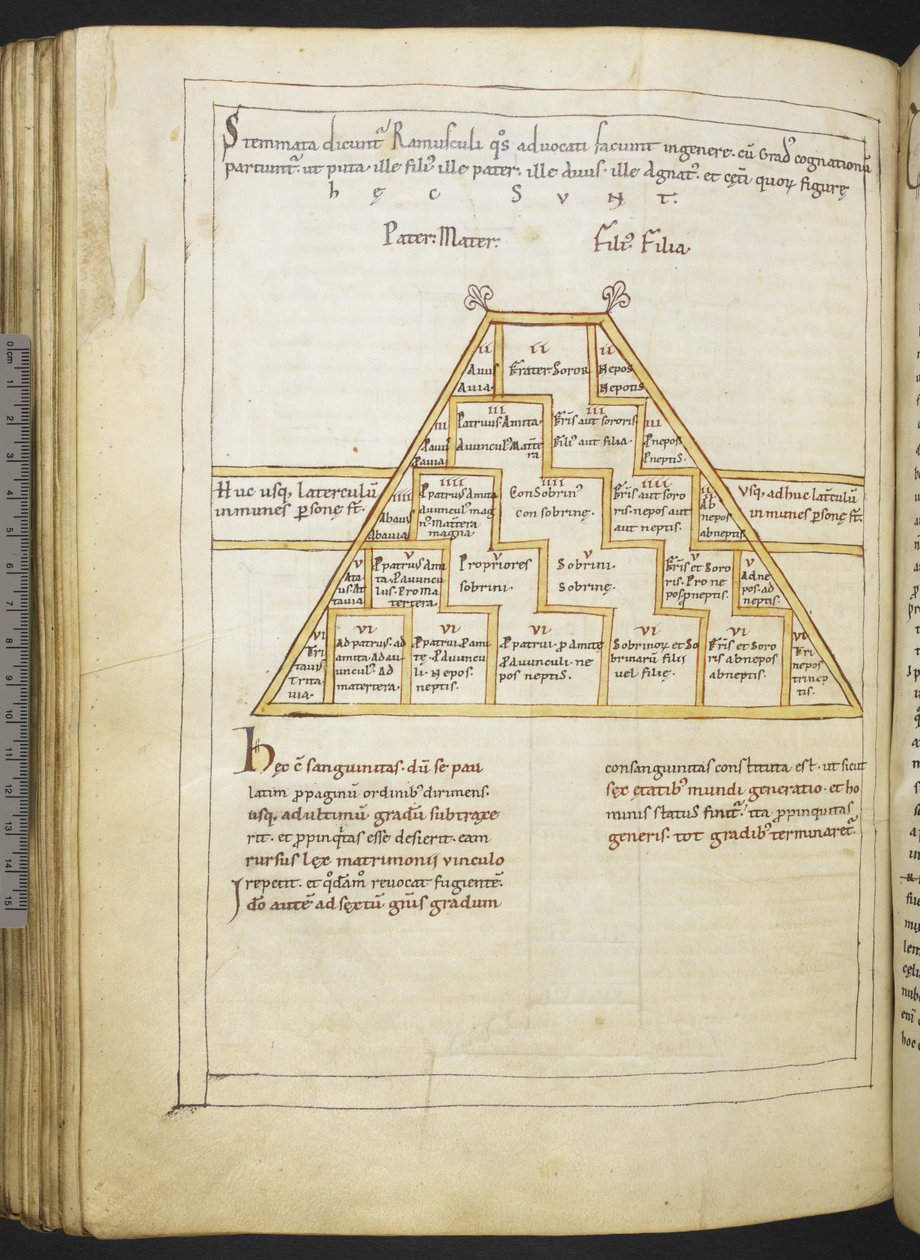 哈雷 MS 2660 f.91v 塞维利亚的伊西多尔（Isidore of Seville）的 "Etymologiae and De natura rerum 作者 德国学校