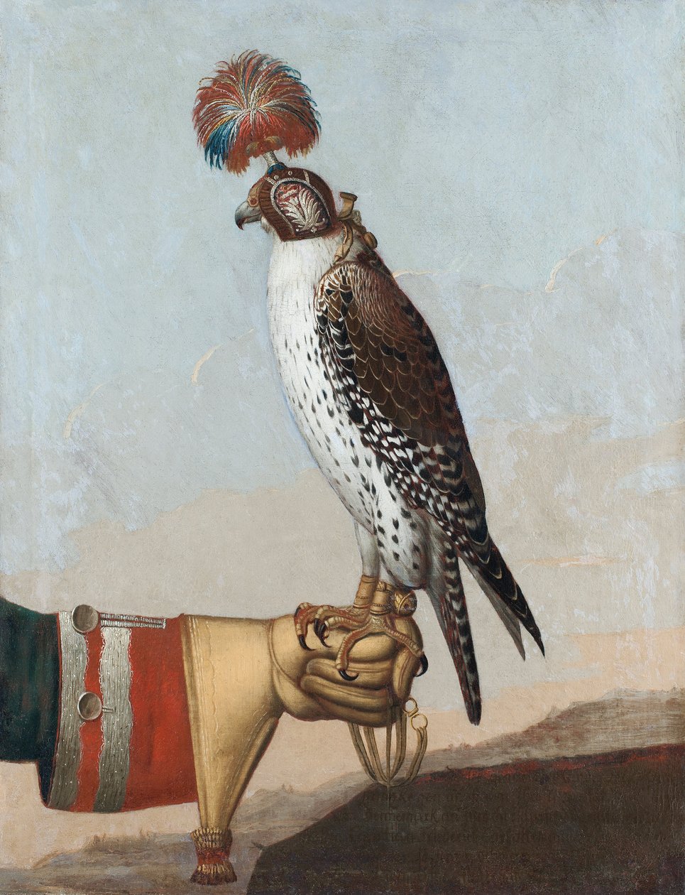 冰岛gerfalcon，1759年 作者 德国学校