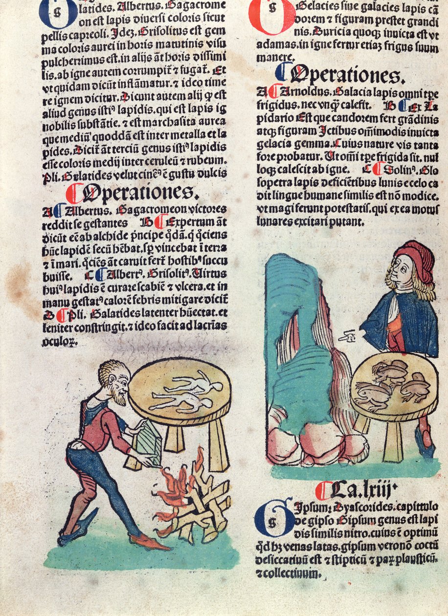 来自Hortus Sanitatis的插图页面，1491（彩色木刻） 作者 德国学校