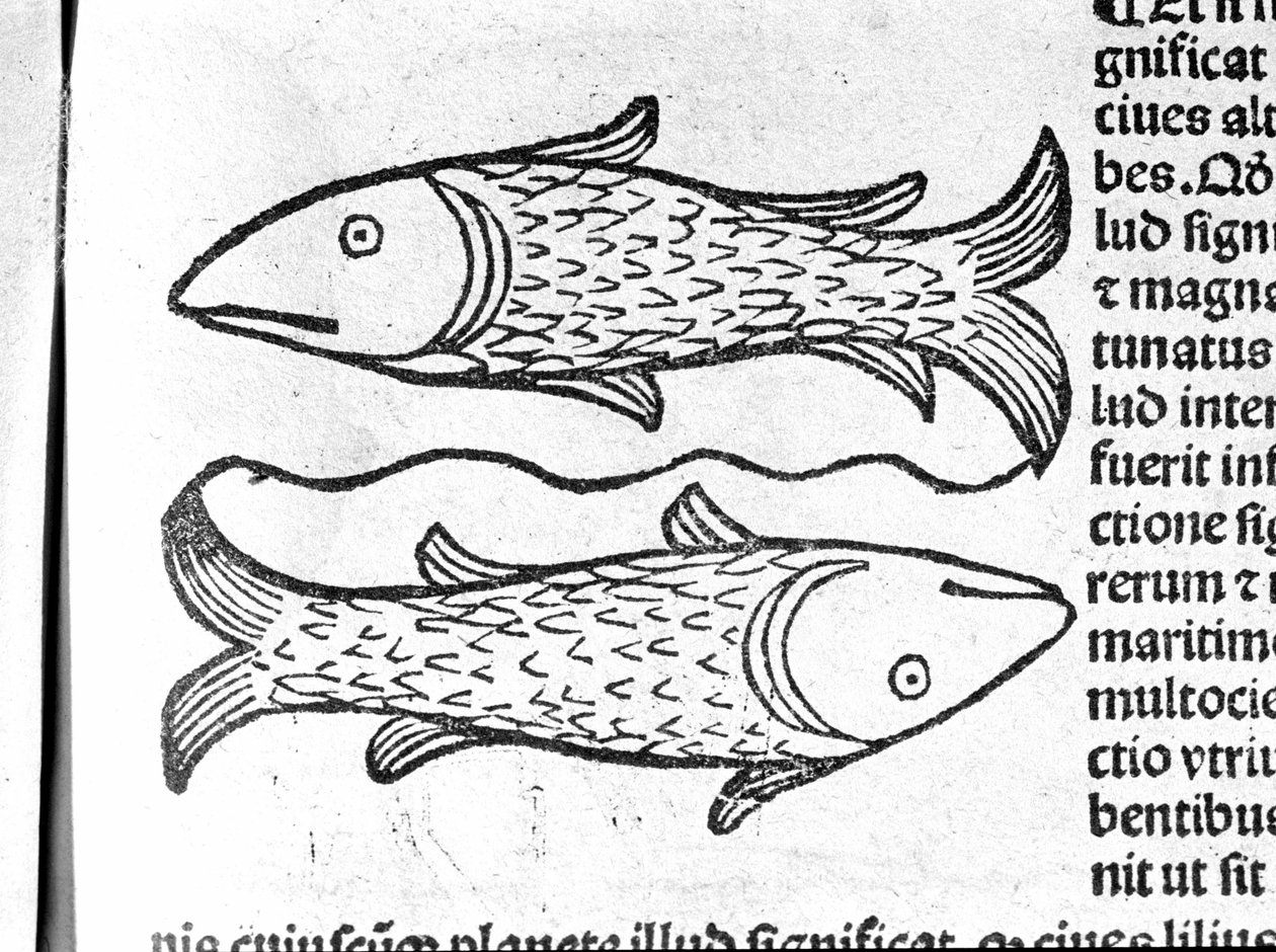 Les Pisces - in Treatise by Johannes Angeli De Magnisconnectionibue annorum revolutionibus ac eorum pefectionibus.奥格斯堡，Erhard Ratdolt 作者 德国学校