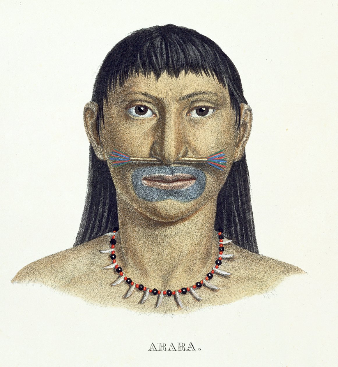 Arara部落的土着男子与蓝色的脸油漆，来自巴西之旅的地图集由Johann Baptist von Spix（1781-1826）和Karl Friedrich Philipp Martius（1794-1868）出版，第1835-50页（颜色） 作者 德国学校