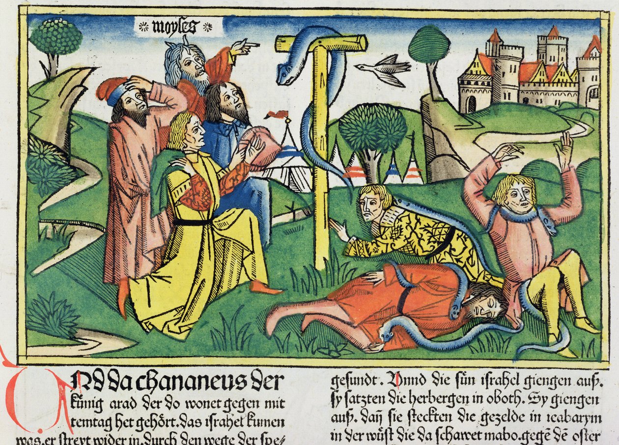 民数记21 4-9毒蛇从纽伦堡圣经（Biblia Sacra Germanaica）（彩色木刻）中叮谤反叛的以色列人 作者 德国学校