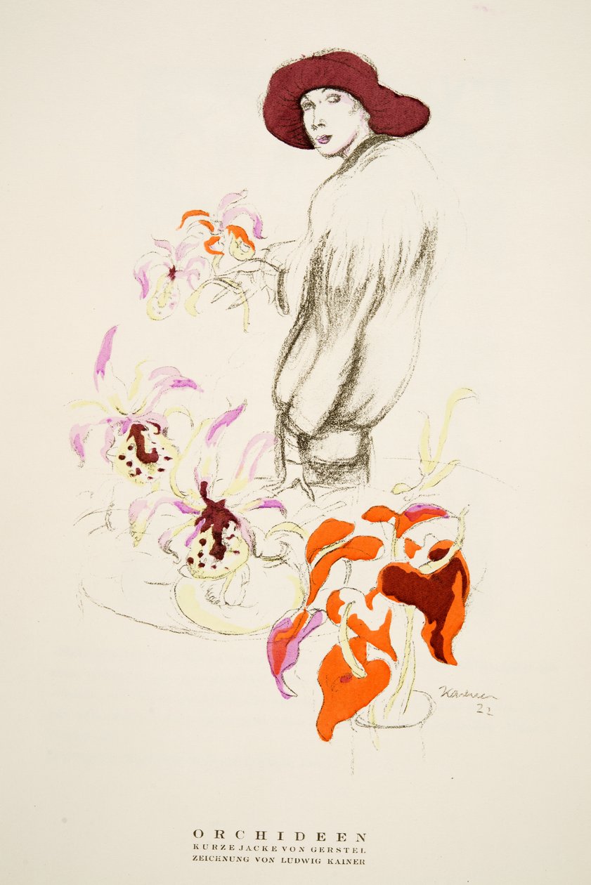 Orchideen，Gerstel的短夹克，来自Styl，出版于1922年(pochoir印刷) 作者 德国学校