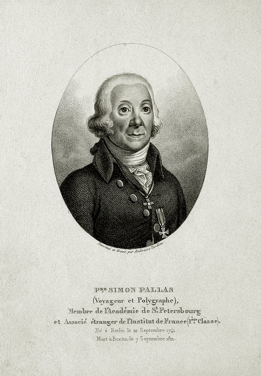 彼得·西蒙·帕拉斯。 (1741 – 1811)（线雕） 作者 德国学校