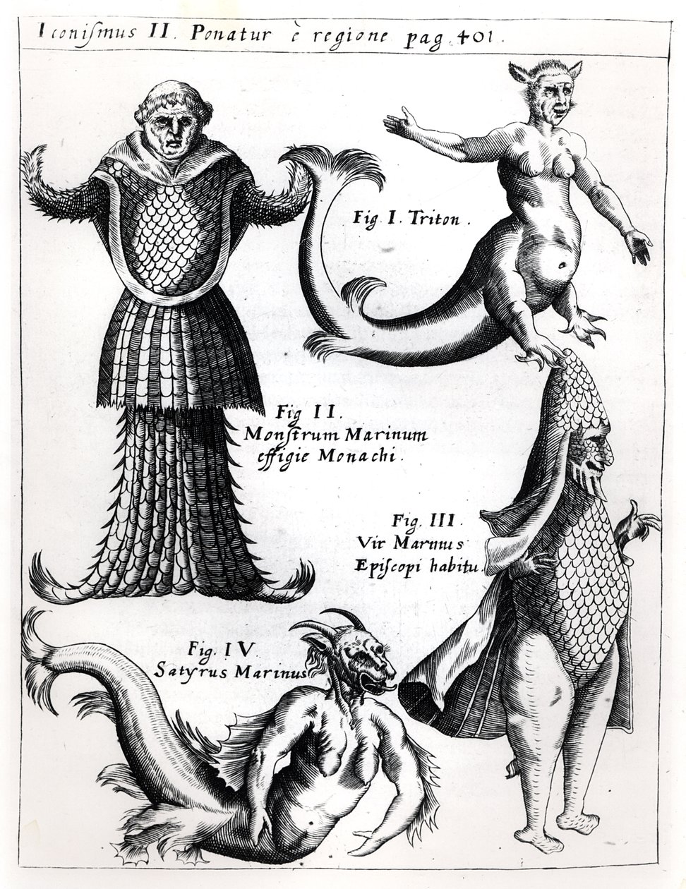 海怪，来自Physica Curiosa的插图，来自Gaspar Schott SJ（1608-66），出版了维尔茨堡1662 作者 德国学校