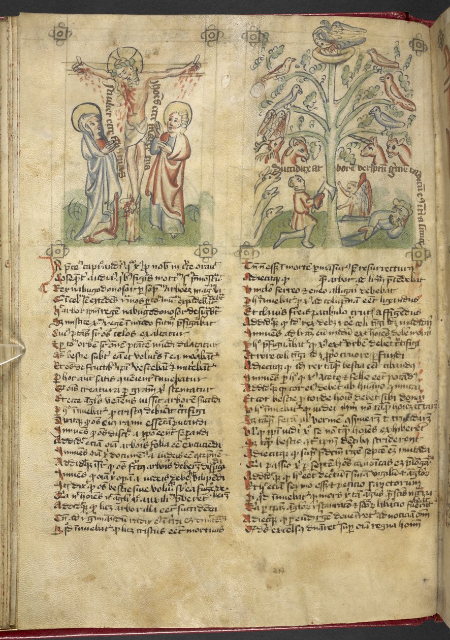 Sloane 361，f.26v 尼布甲尼撒在梦中看到一棵树；耶稣受难，选自 "Speculum Humanae Salvation"（牛皮纸上的墨水和色彩） 作者 德国学校
