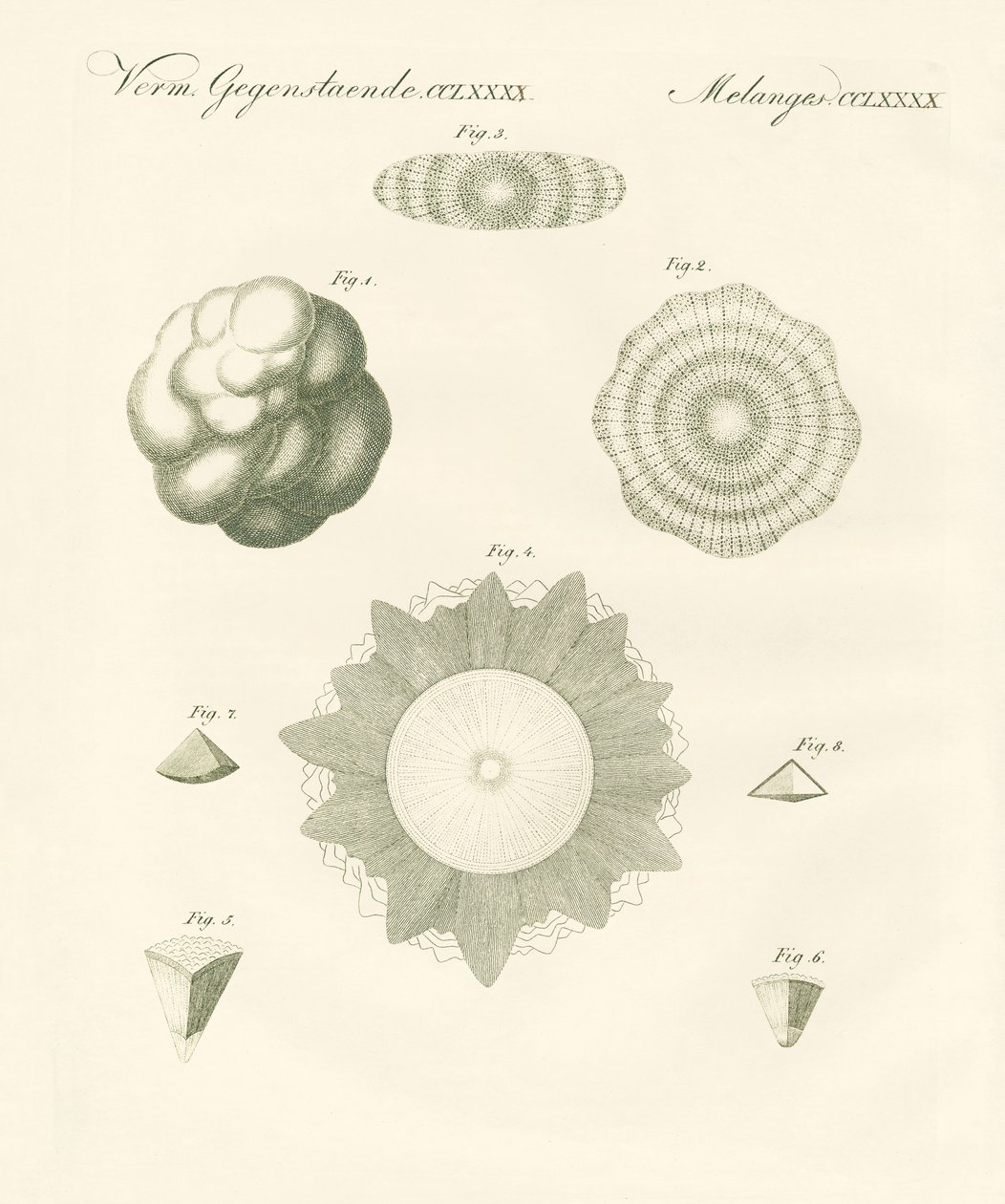 Strange hailstones (coloured engraving) 作者 德国学校