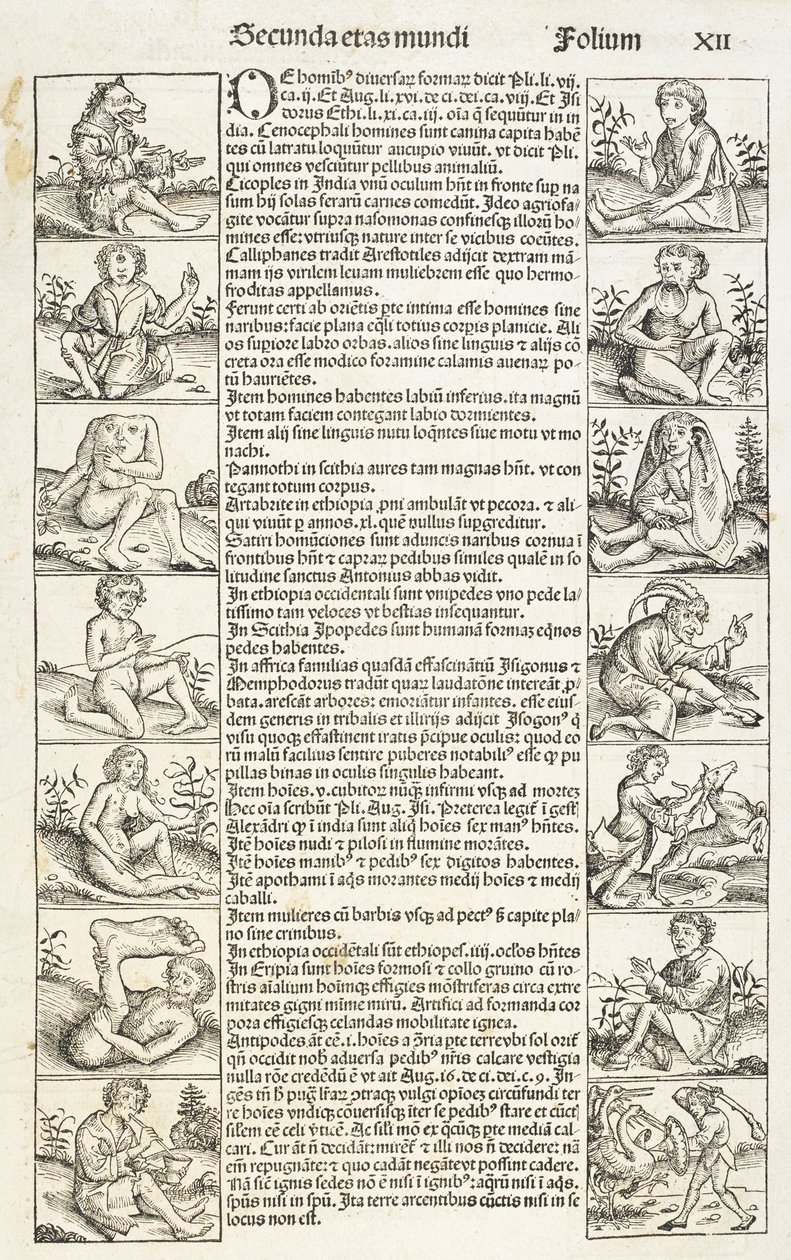 奇怪的人和生物"，插图选自《Liber chronicarum.Registrum hujus operis libri cronicarum...