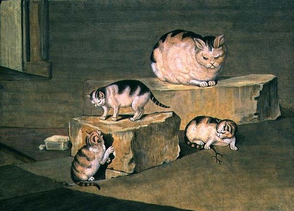 对猫的研究 作者 德国学校
