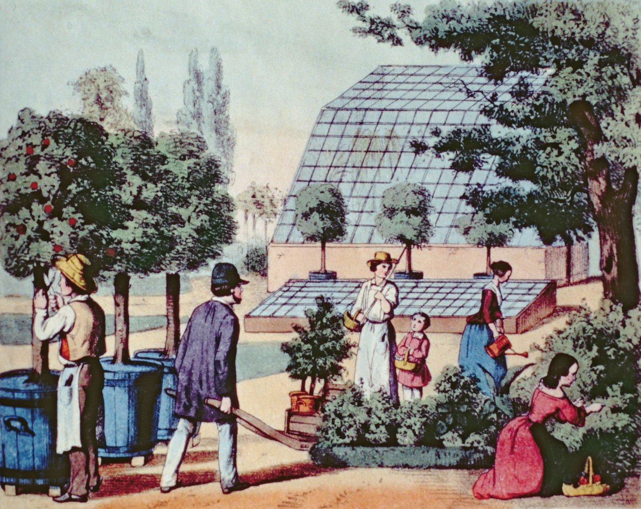 照料花园，1860年（彩色雕刻） 作者 德国学校