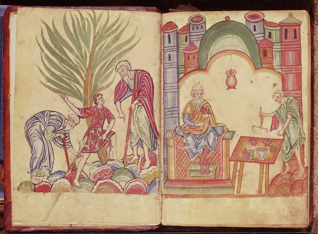 来自Apuleius Dioscorides的药剂师的艺术 作者 德国学校