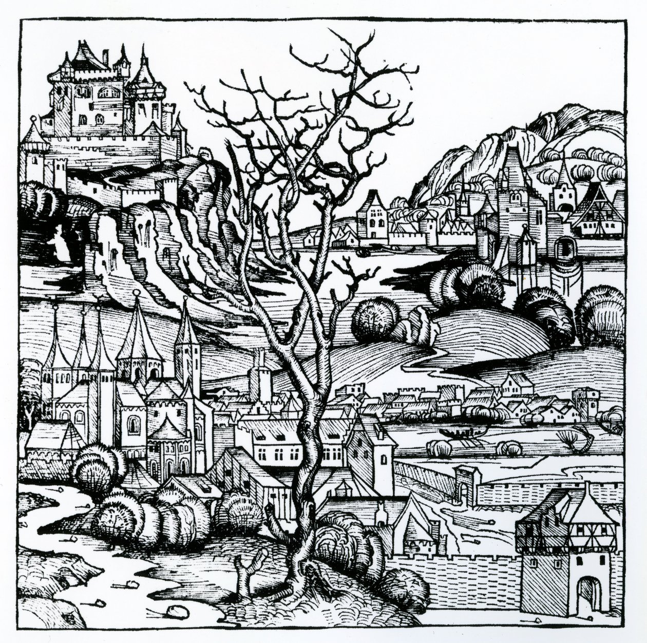 纽伦堡纪事》中的葡萄牙景象1493年（木刻）。 作者 德国学校