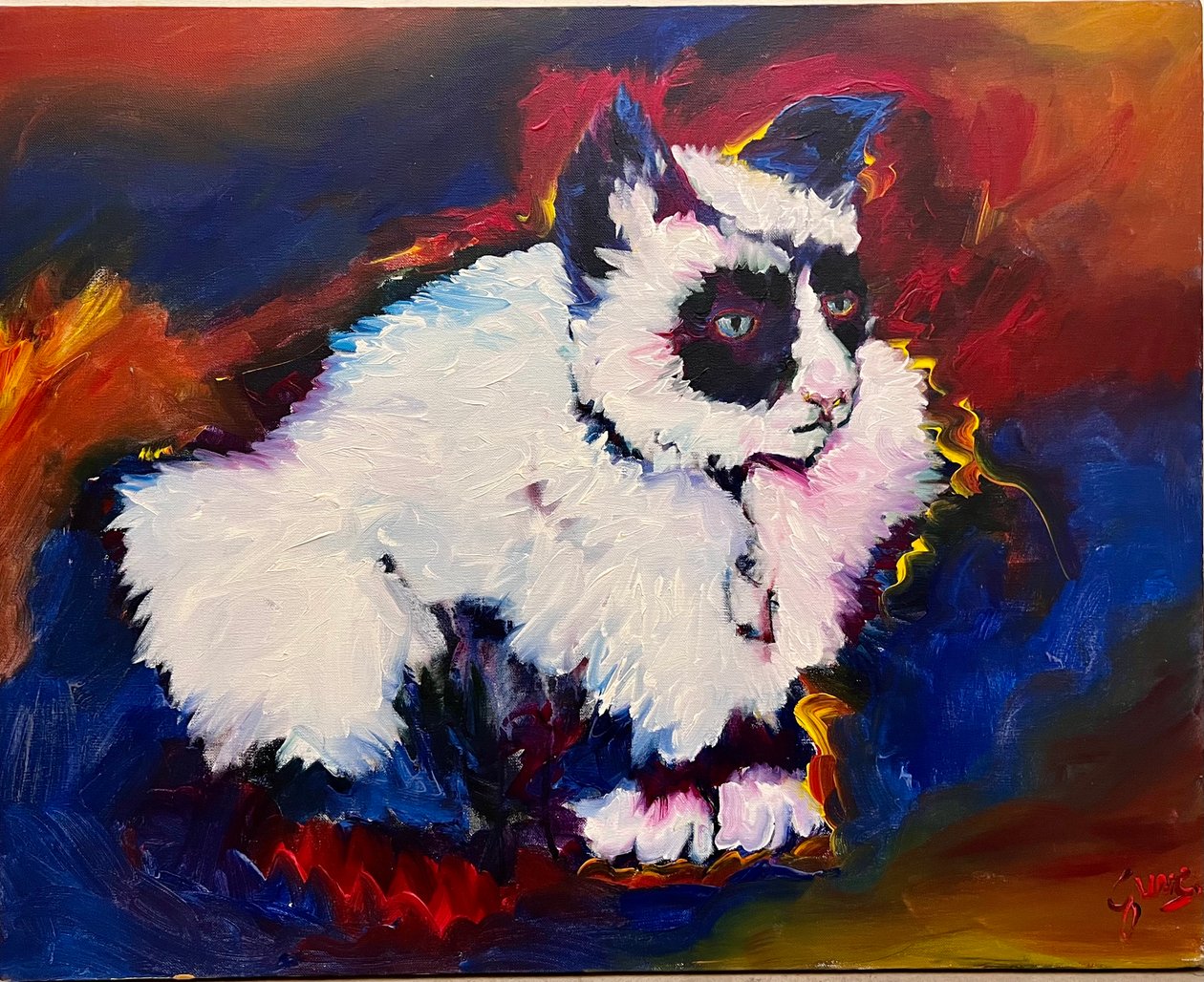 蹦极猫 作者 