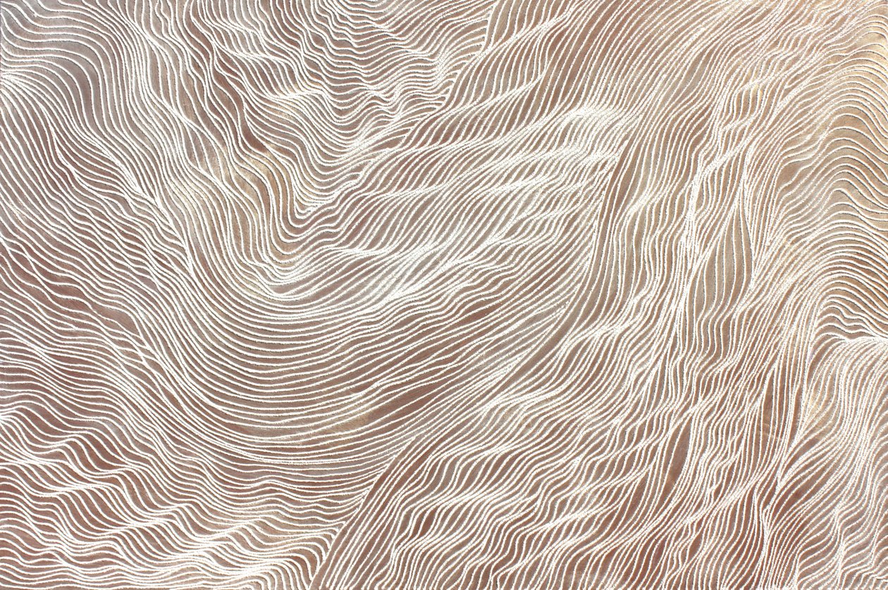旅程 298，2010 年（帆布上的沙子和丙烯颜料） 作者 