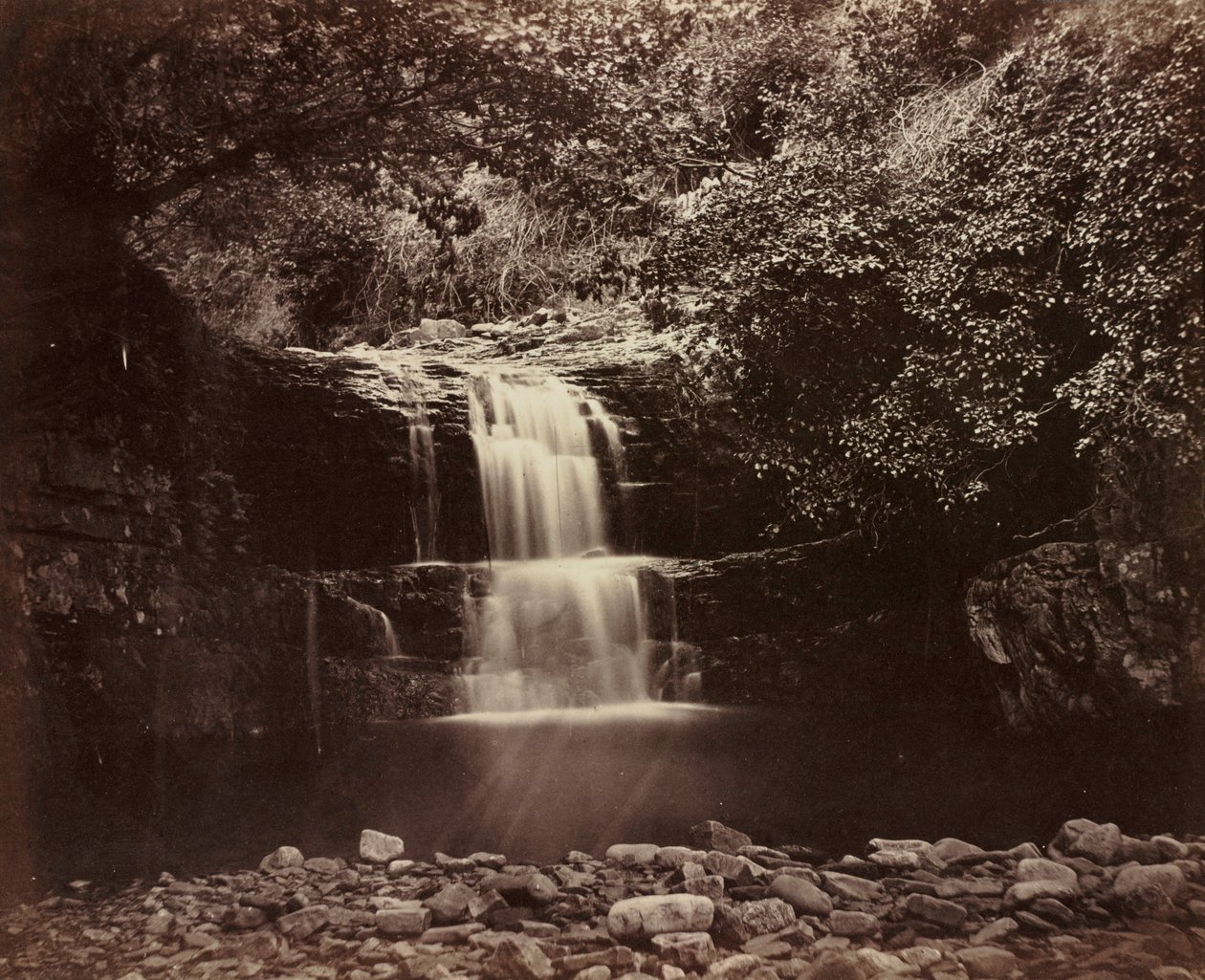 尼斯河谷，1854年。 作者 格丁 G. B