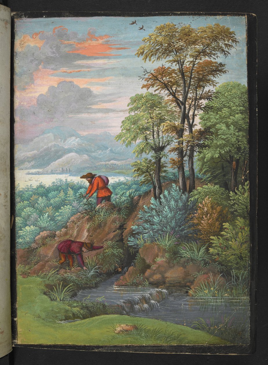 两名男子在树林中寻找植物，选自 Gherardo Cibo 的 "罗马国家植物画作"，Add MS 22333，f006r，约 1564-84 年（纸面水彩和水粉画）。 作者 赫拉尔多·西博