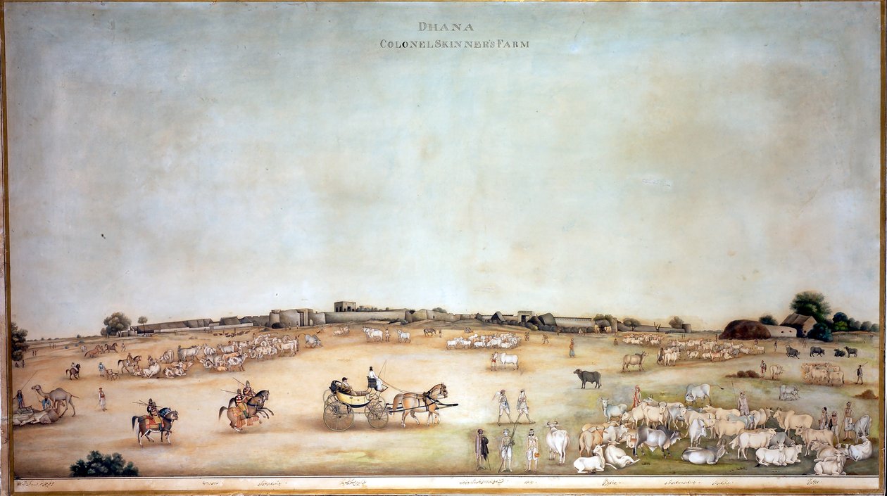 达纳·斯金纳上校的农场？，1828年 作者 古兰姆·阿里·汗（Ghulam Ali Khan）