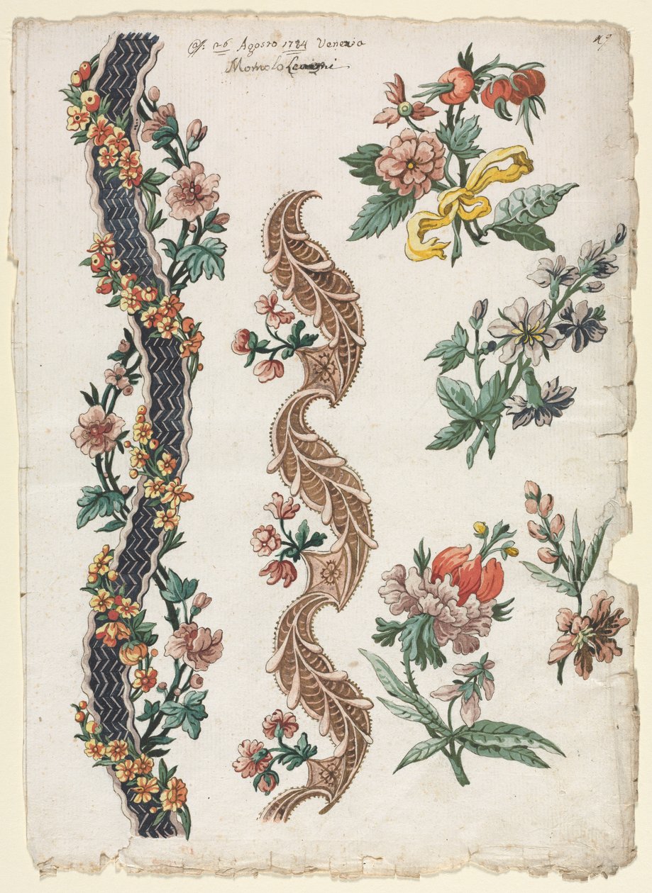 花卉设计和花带 作者 贾科莫·卡文尼西亚（Giacomo Cavenezia）
