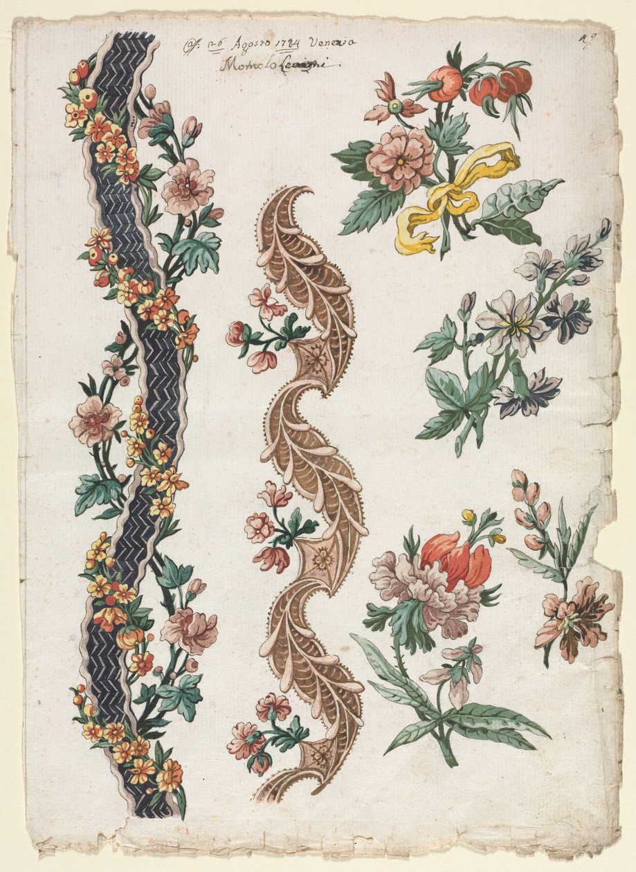 花卉设计和花卉乐队，1784年。 作者 贾科莫·卡文尼西亚（Giacomo Cavenezia）