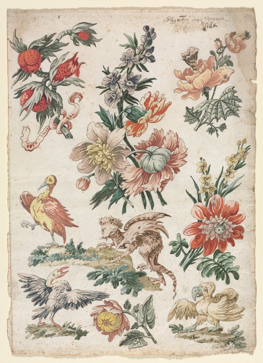 鸟与狮riff的花艺设计，1784年。 作者 贾科莫·卡文尼西亚（Giacomo Cavenezia）