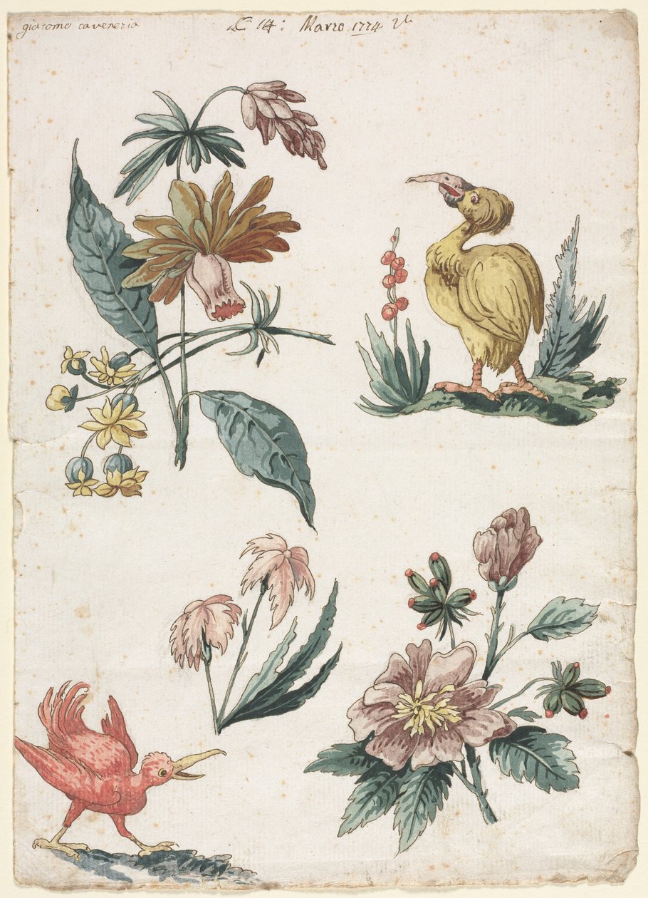 两只鸟的花艺设计，1774年。 作者 贾科莫·卡文尼西亚（Giacomo Cavenezia）