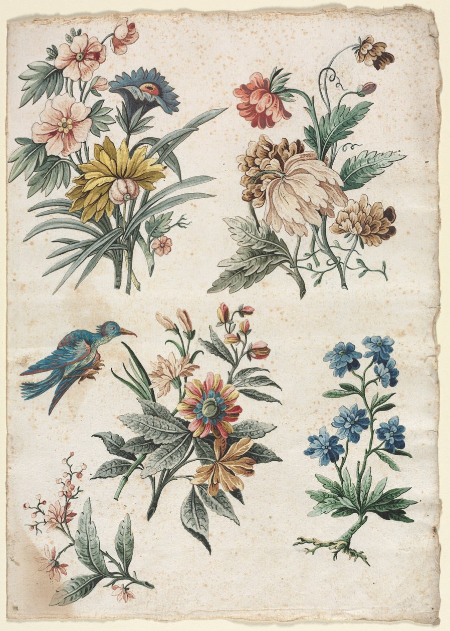 一只蓝鸟的花艺设计c。 177374。 作者 贾科莫·卡文尼西亚（Giacomo Cavenezia）