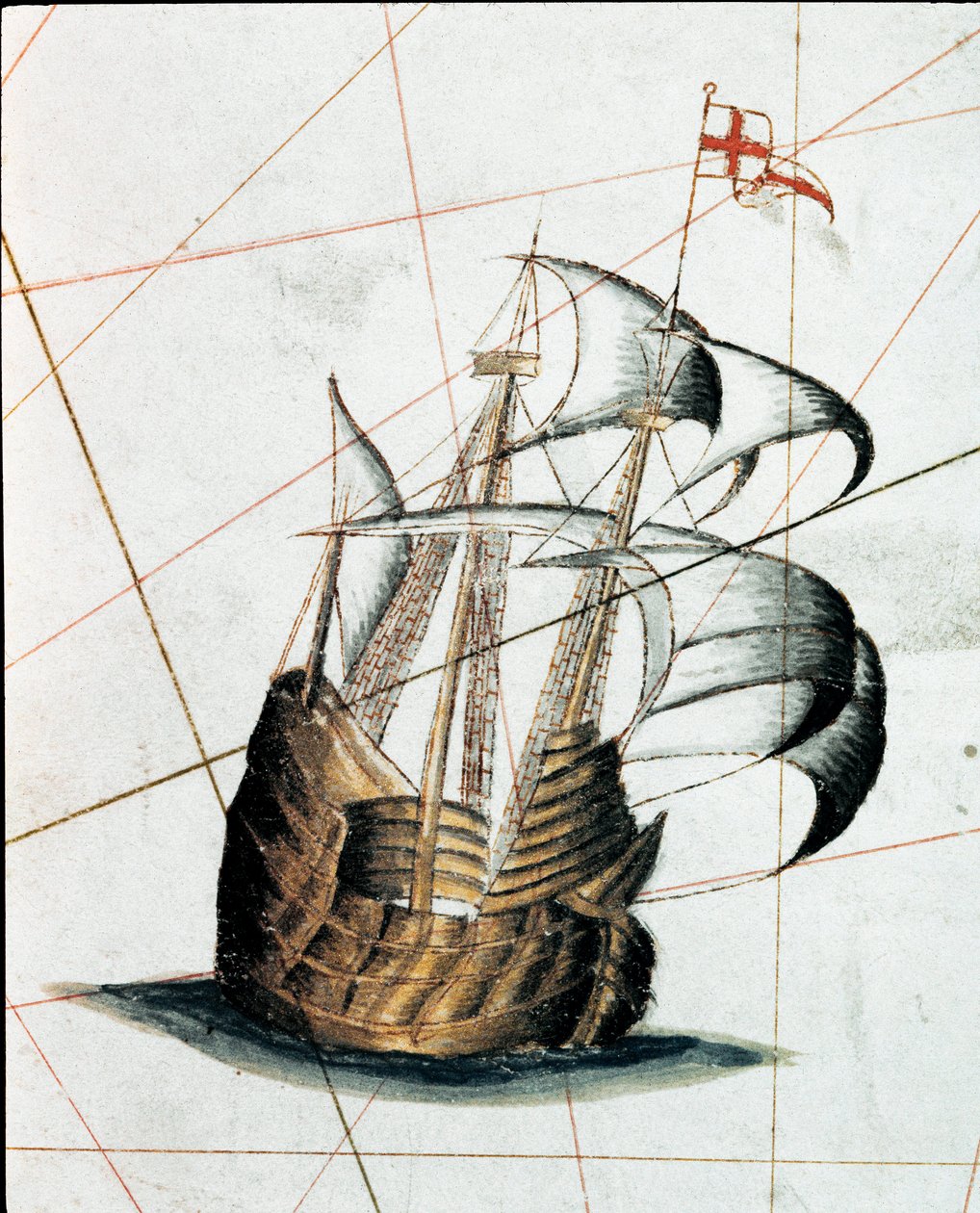 Genoise caravel（马齿苋的细节） 作者 贾科莫·马吉欧洛（Giacomo Maggiolo）