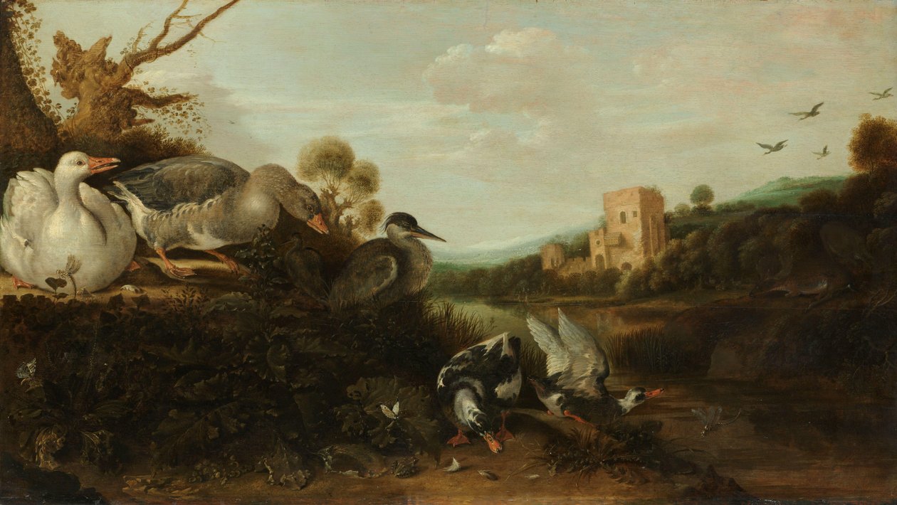 水禽 作者 Gijsbert Gillisz de Hondecoeter