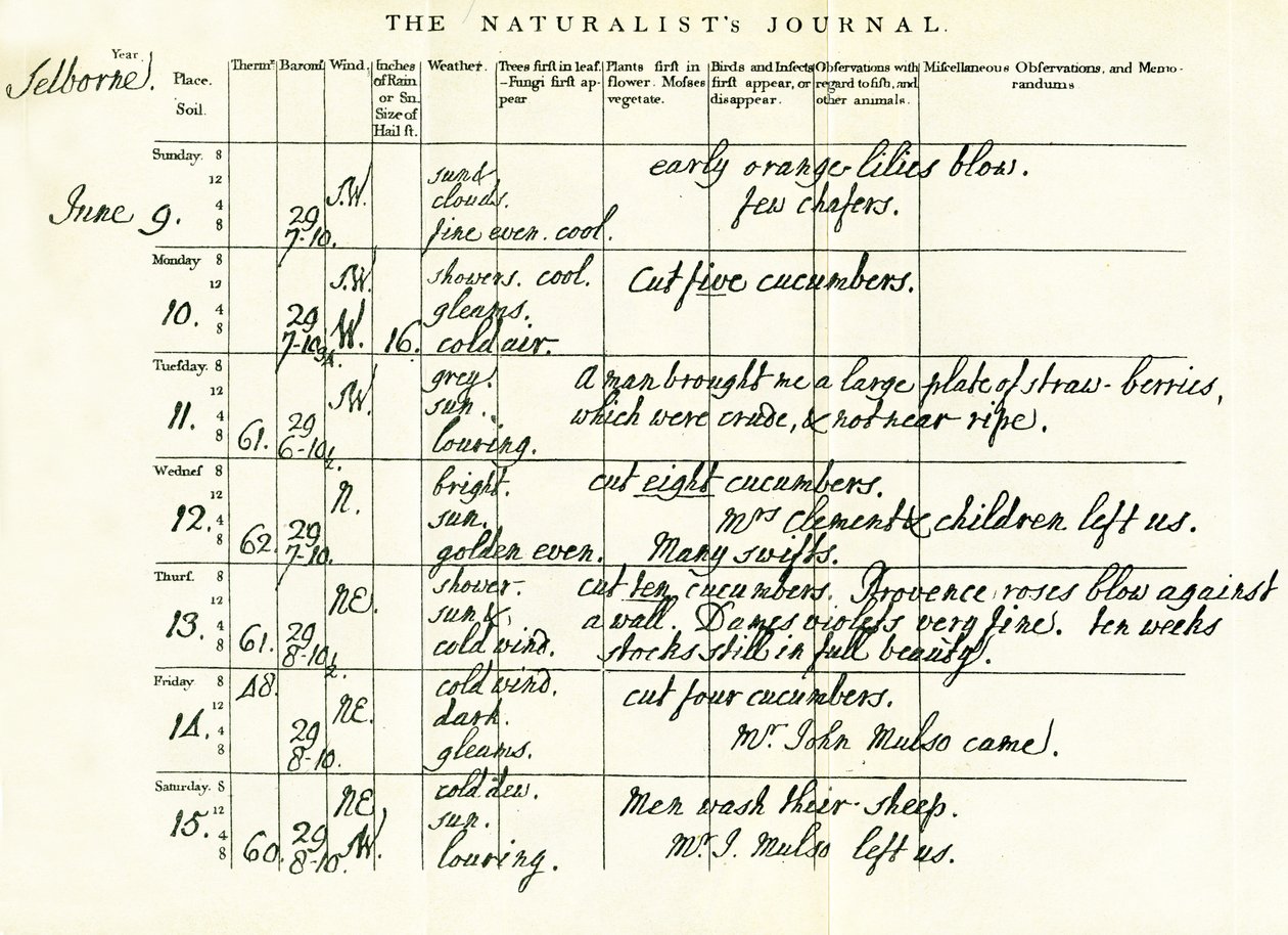 最后完成的页面是Gilbert Whites Naturalists Journal，1793年6月9日至15日 作者 吉尔伯特·怀特