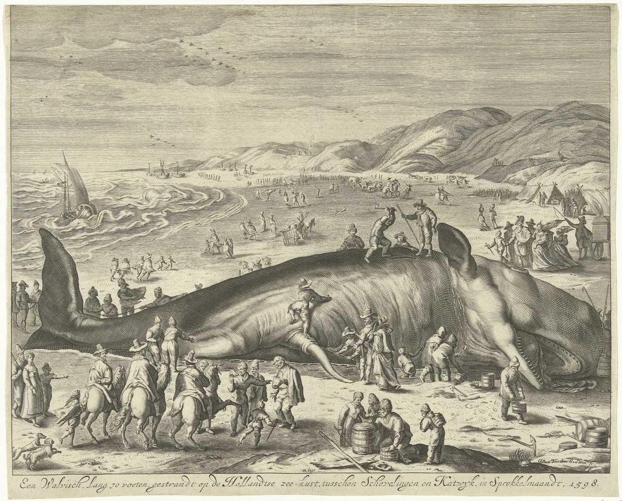 搁浅的伯克鲸鱼，1598 年 一头 70 英尺长的鲸鱼搁浅在荷兰海岸斯普罗凯尔马安特 (Sprokkelmaandt) 的斯舍弗林根 (Schevelingen) 和卡特维克 (Katwyk) 之间，1598 年（物品上的标题） 作者 吉列姆·范德古文